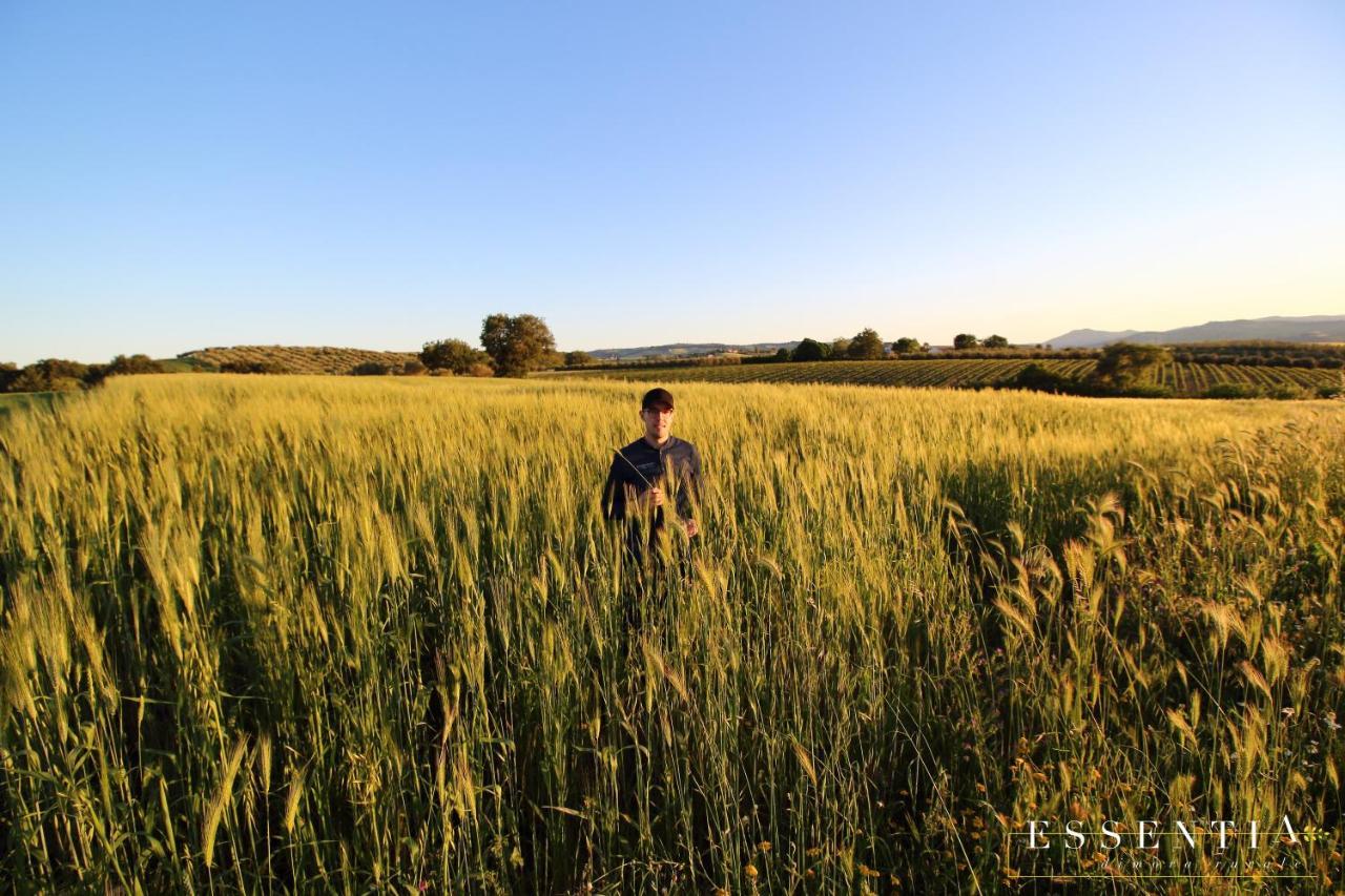 Agriturismo Essentia Dimora Rurale Larino Екстериор снимка