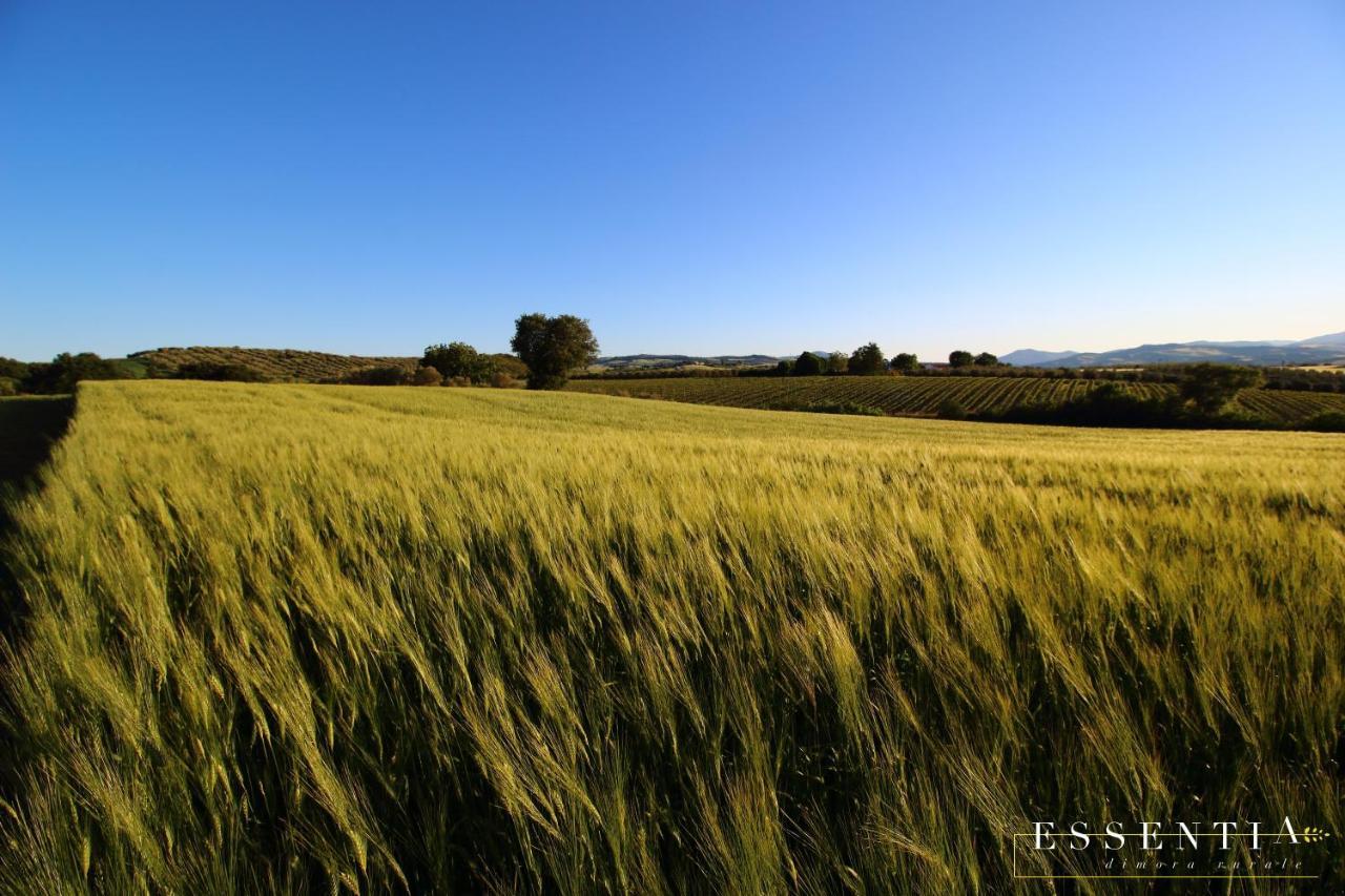 Agriturismo Essentia Dimora Rurale Larino Екстериор снимка