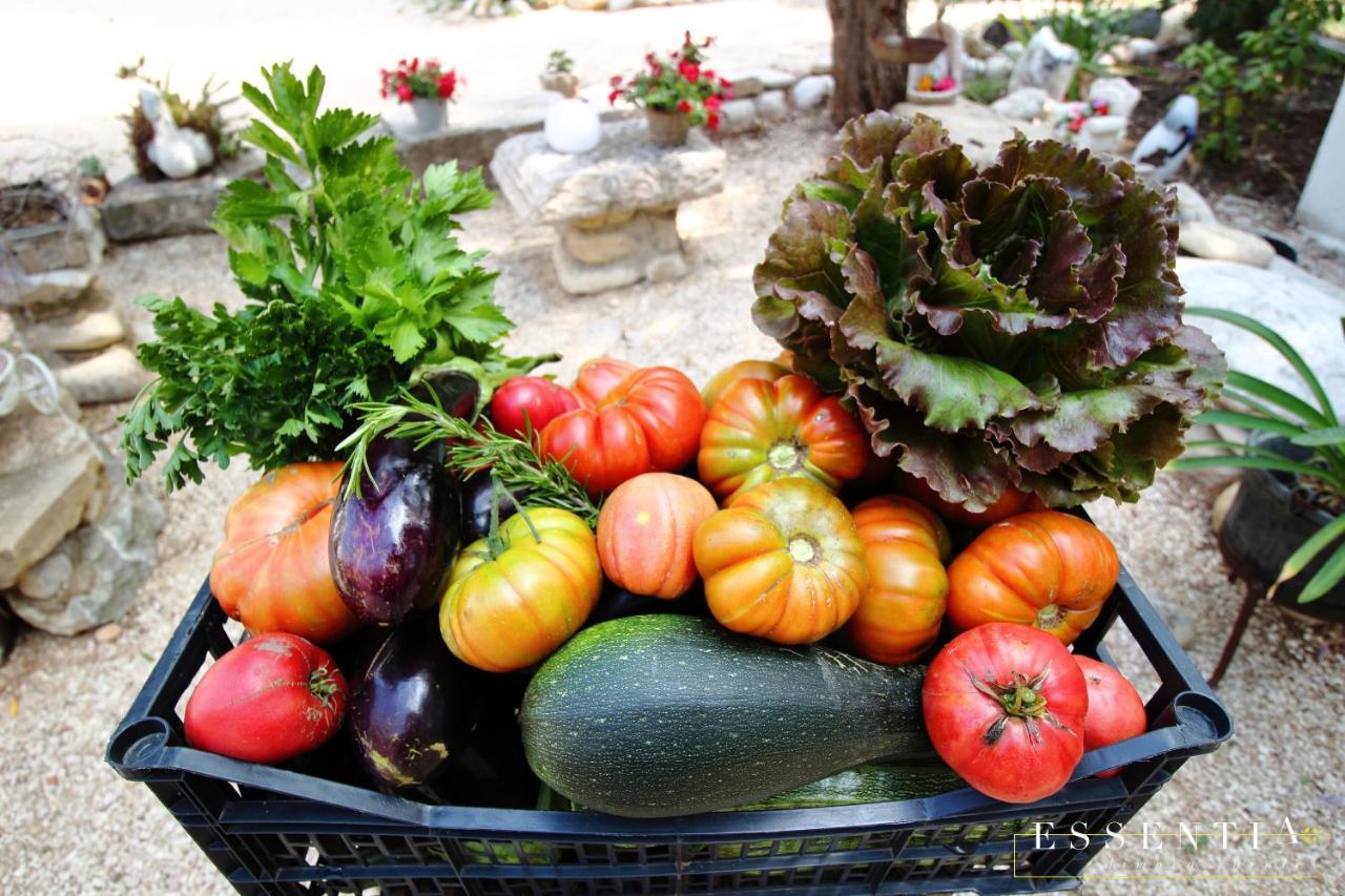 Agriturismo Essentia Dimora Rurale Larino Екстериор снимка