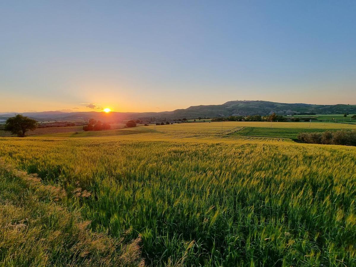Agriturismo Essentia Dimora Rurale Larino Екстериор снимка
