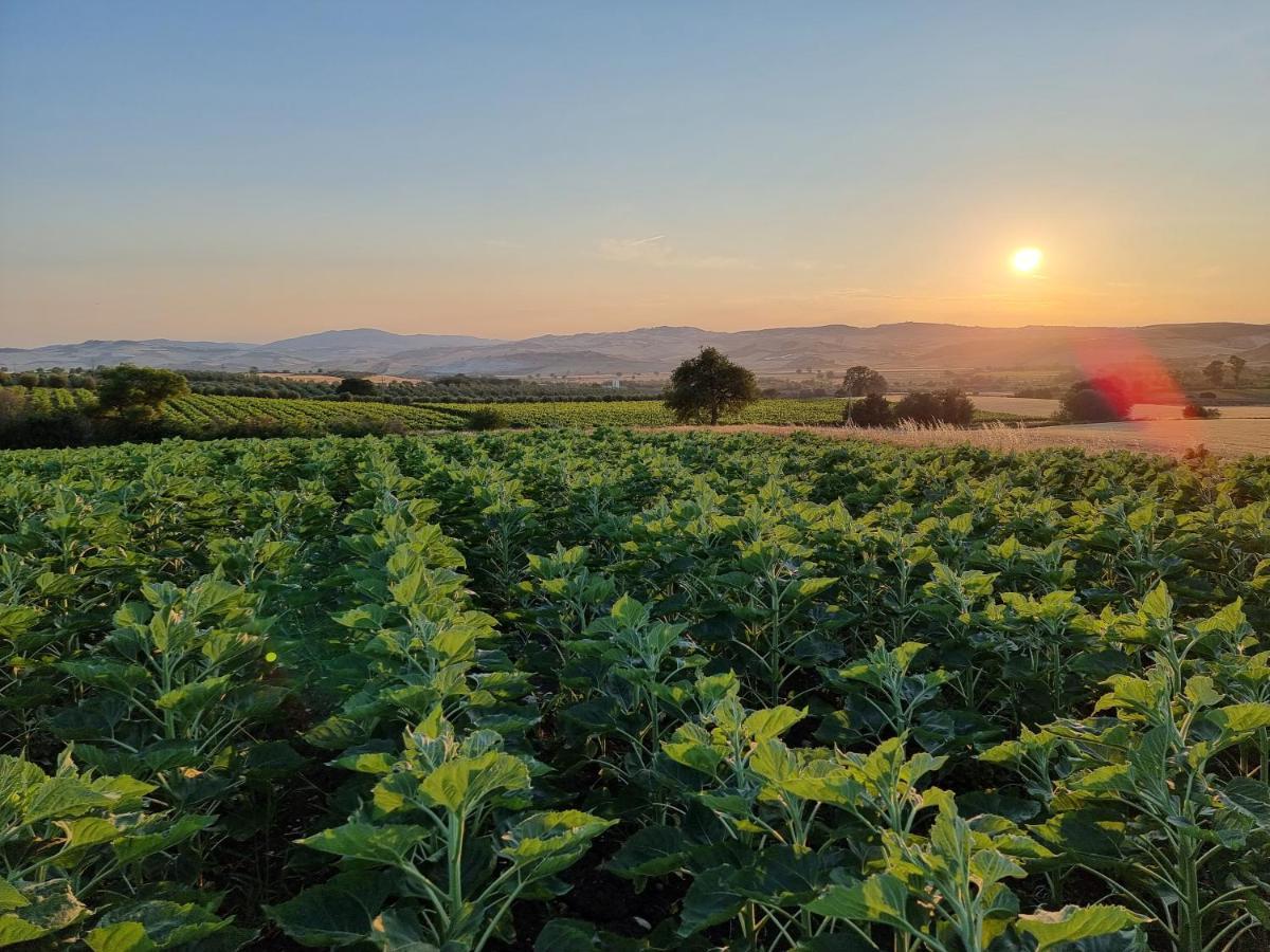 Agriturismo Essentia Dimora Rurale Larino Екстериор снимка