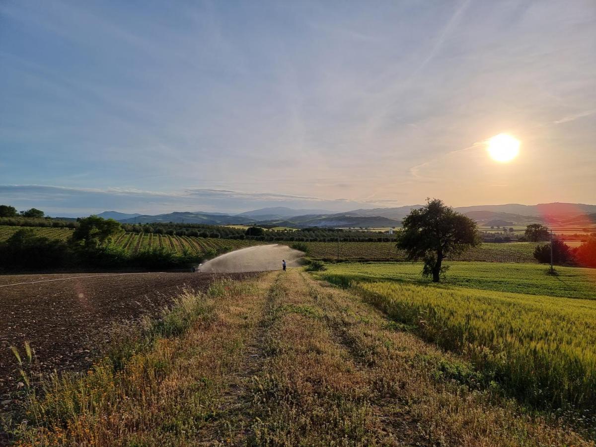 Agriturismo Essentia Dimora Rurale Larino Екстериор снимка