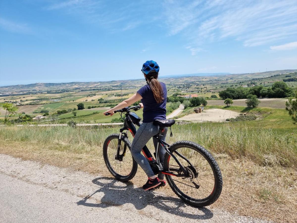 Agriturismo Essentia Dimora Rurale Larino Екстериор снимка