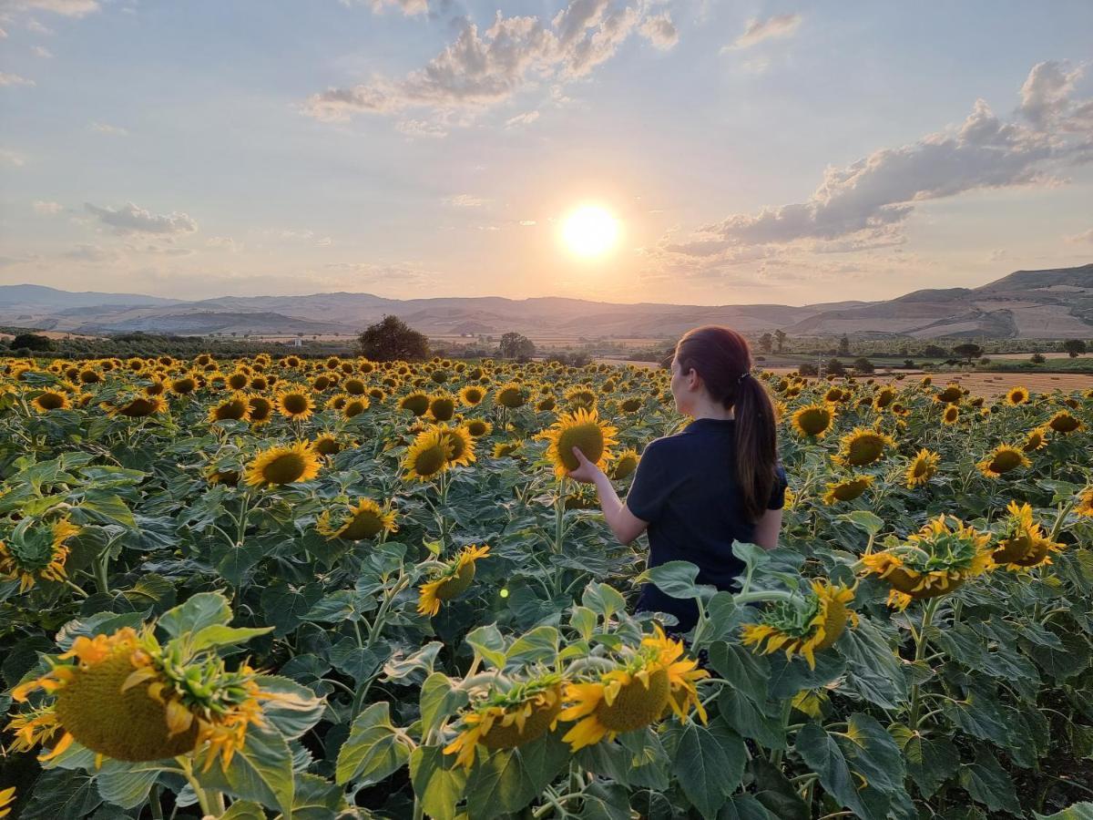 Agriturismo Essentia Dimora Rurale Larino Екстериор снимка
