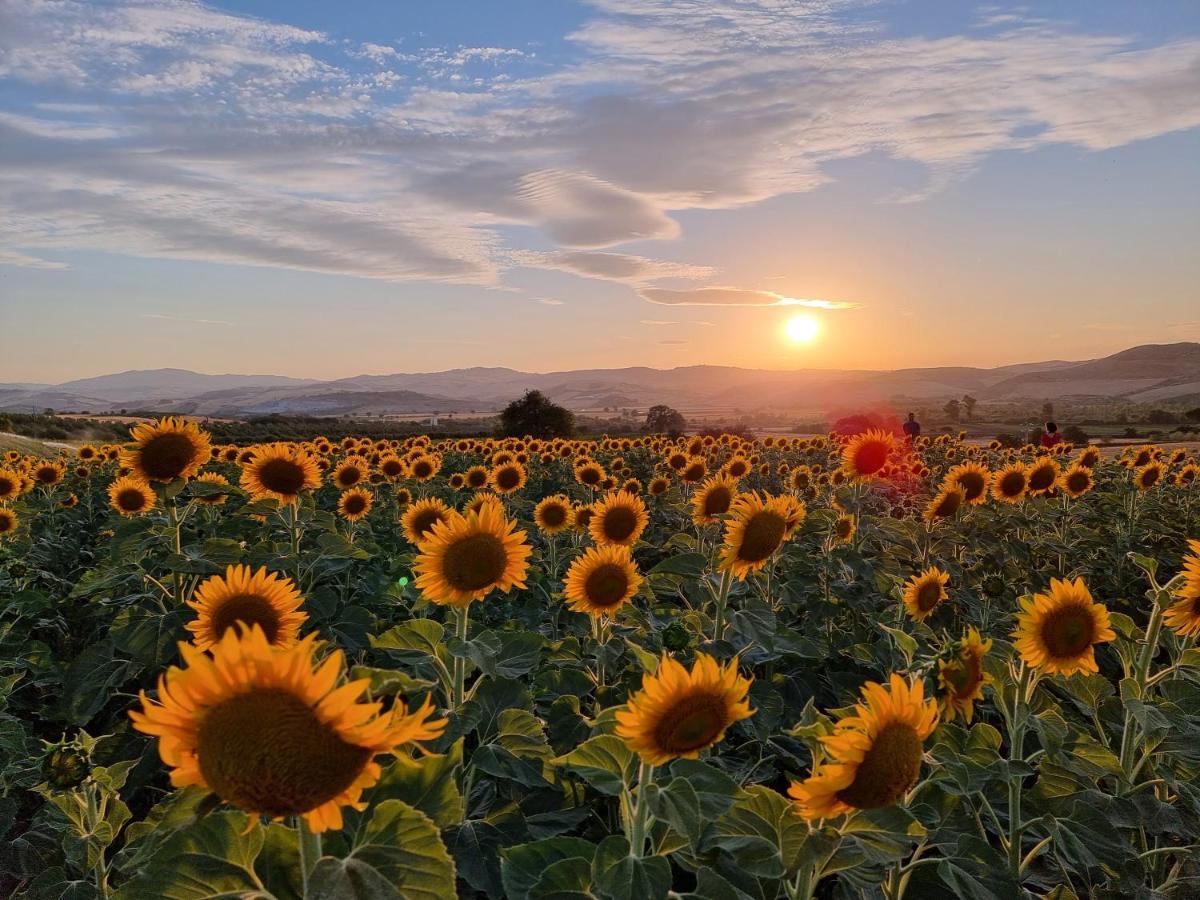 Agriturismo Essentia Dimora Rurale Larino Екстериор снимка