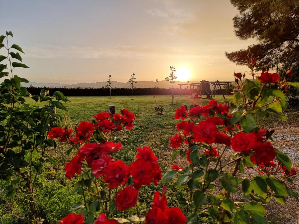 Agriturismo Essentia Dimora Rurale Larino Екстериор снимка