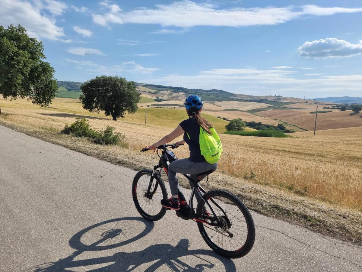Agriturismo Essentia Dimora Rurale Larino Екстериор снимка