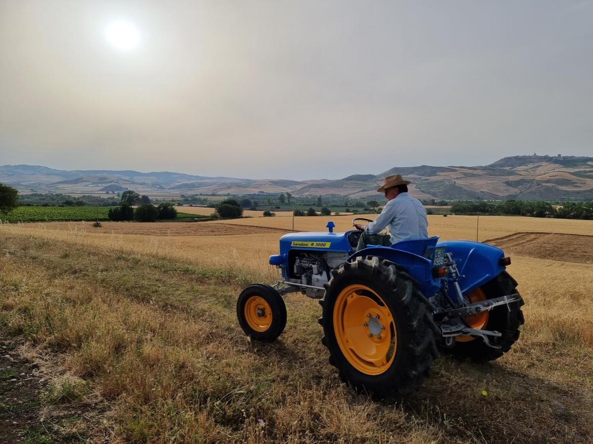 Agriturismo Essentia Dimora Rurale Larino Екстериор снимка