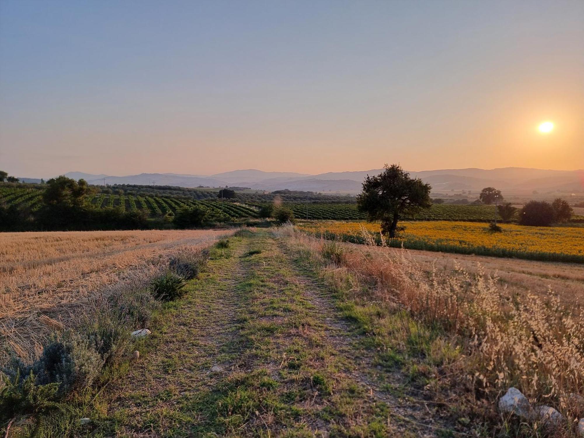 Agriturismo Essentia Dimora Rurale Larino Екстериор снимка