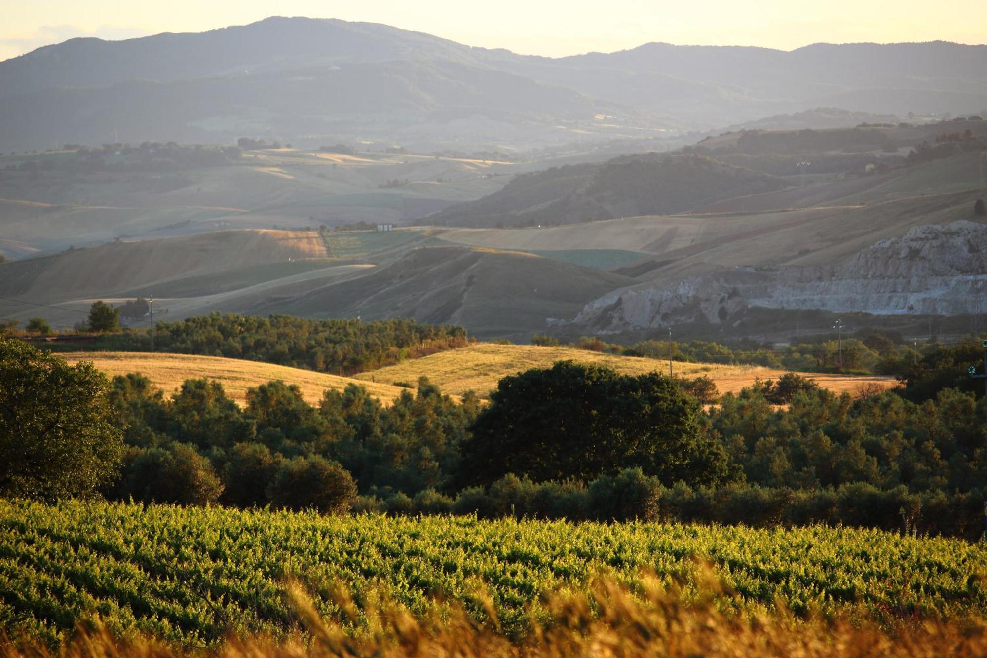 Agriturismo Essentia Dimora Rurale Larino Екстериор снимка