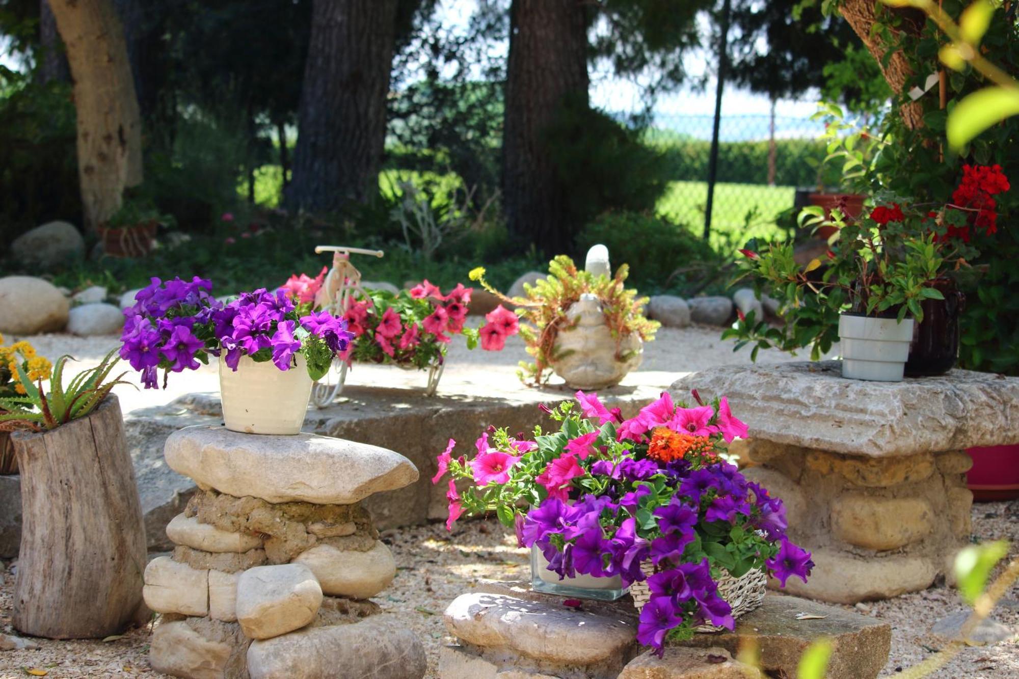 Agriturismo Essentia Dimora Rurale Larino Екстериор снимка