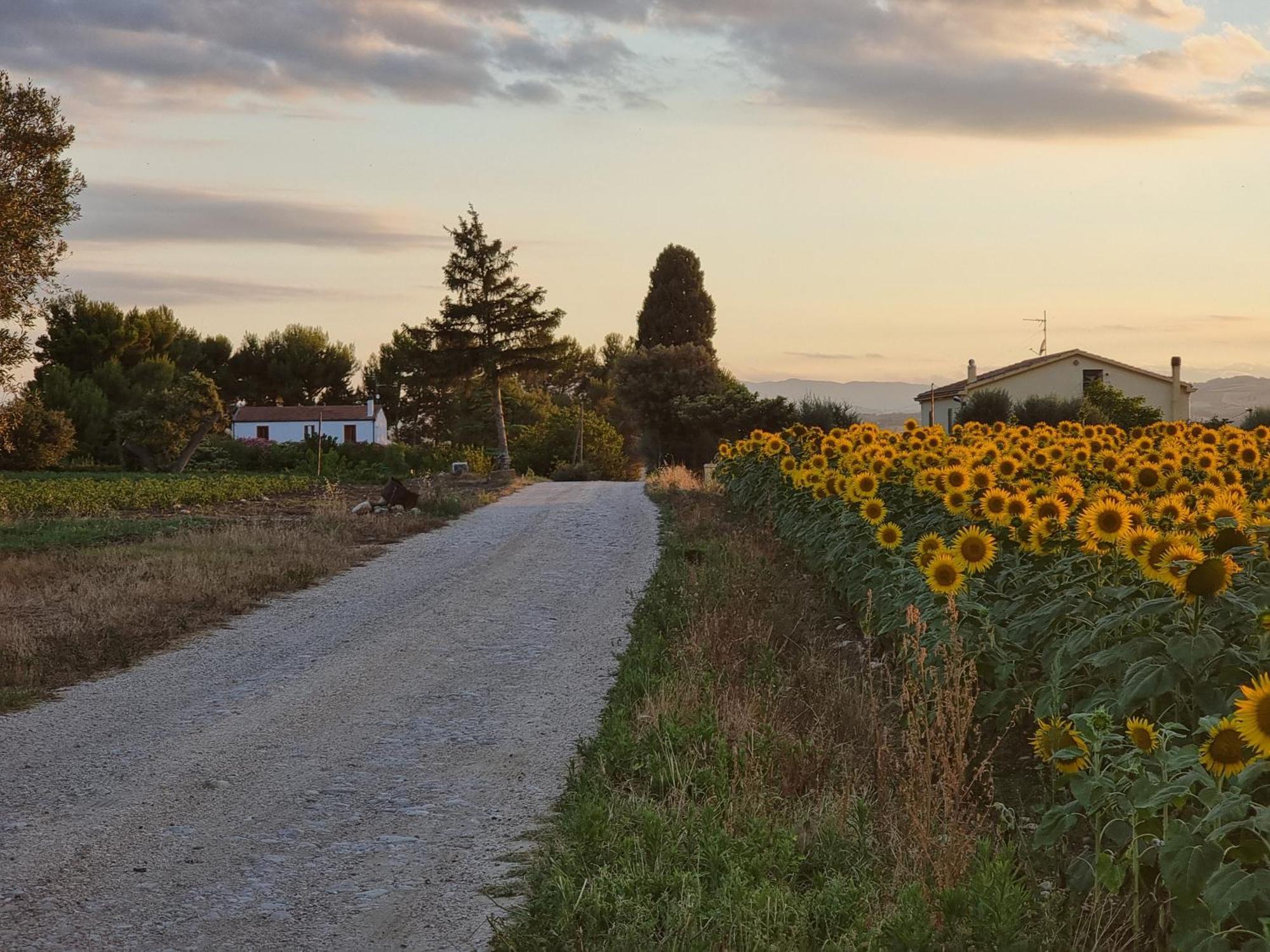Agriturismo Essentia Dimora Rurale Larino Екстериор снимка