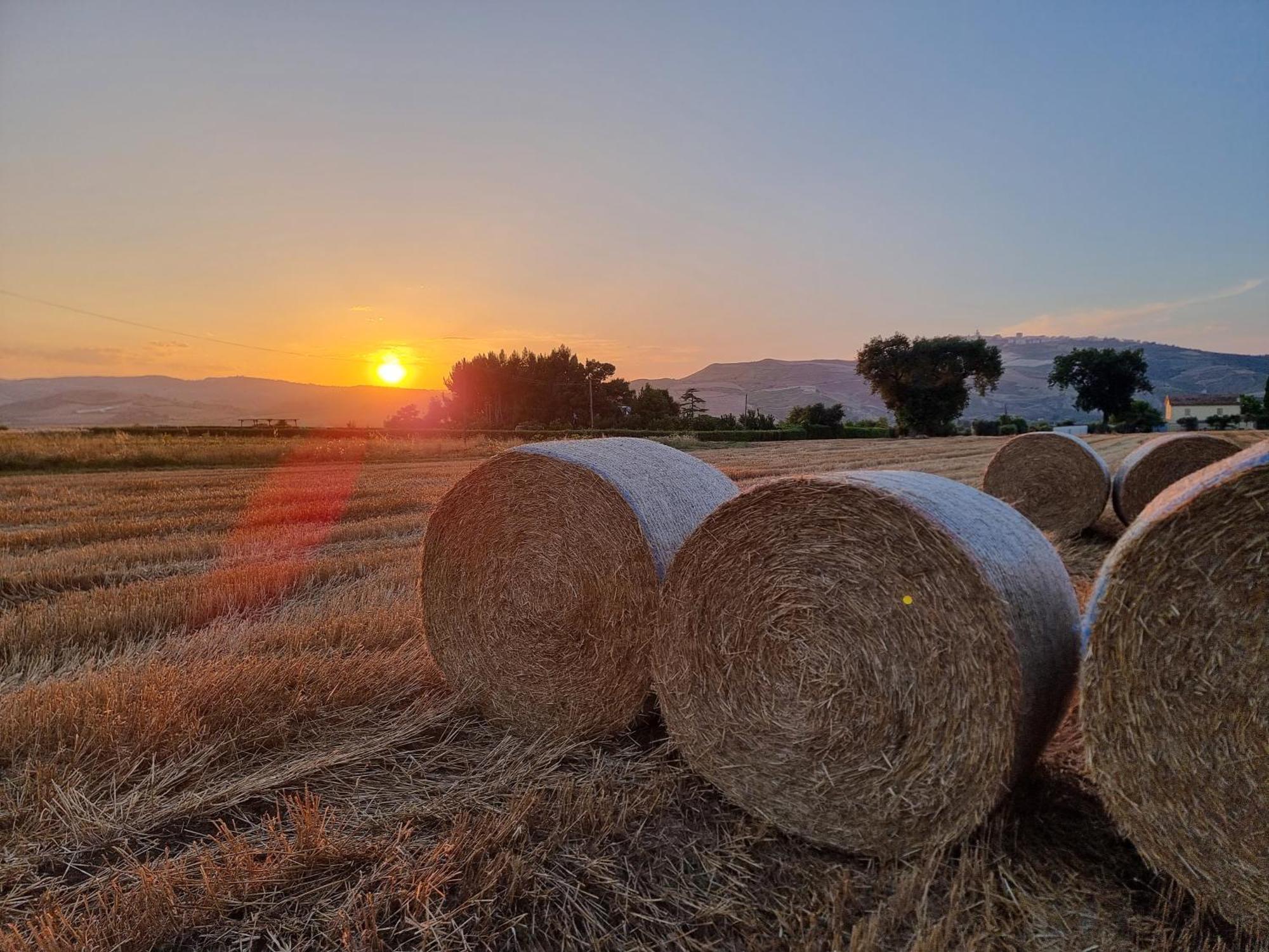 Agriturismo Essentia Dimora Rurale Larino Екстериор снимка