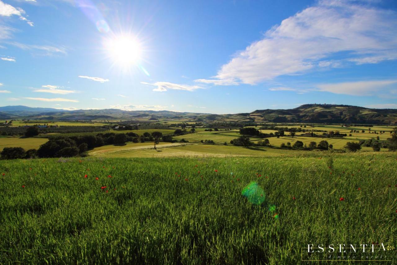 Agriturismo Essentia Dimora Rurale Larino Екстериор снимка