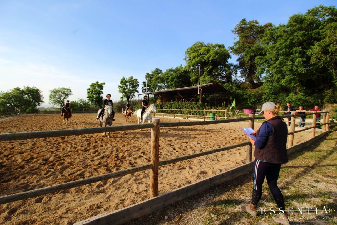 Agriturismo Essentia Dimora Rurale Larino Екстериор снимка