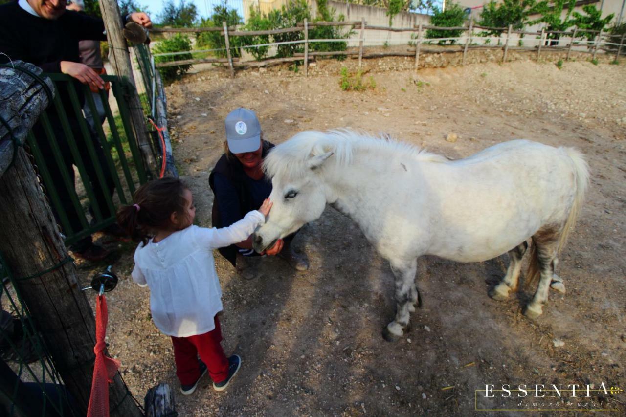 Agriturismo Essentia Dimora Rurale Larino Екстериор снимка